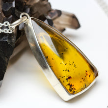 Load image into Gallery viewer, Old Earth: Amber Necklace