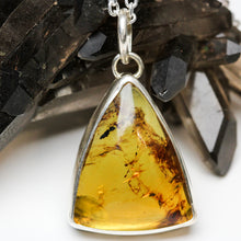 Load image into Gallery viewer, Amber Pendant