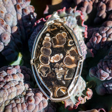 Load image into Gallery viewer, Turritella Agate Pendant