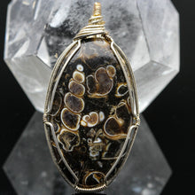 Load image into Gallery viewer, Turritella Agate Pendant