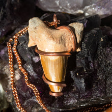 Load image into Gallery viewer, Fossilized Shark Tooth Pendant