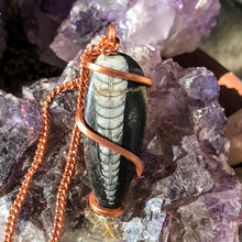 Load image into Gallery viewer, Orthoceras Necklace