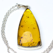 Load image into Gallery viewer, Old Earth: Amber Necklace