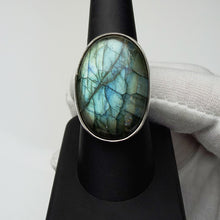 Load image into Gallery viewer, Oval labradorite ring in sterling silver, size 7, front view showing the blue and teal flash