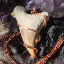 Load image into Gallery viewer, Fossilized Shark Tooth Pendant